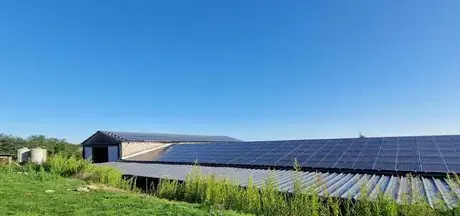 installateur panneaux solaires à Mortagne-sur-Sèvre - image 2